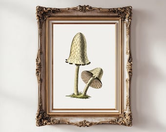 Ilustracja botaniczna z grzybami w stylu vintage, grafika ścienna Cottagecore Fungi (do pobrania cyfrowego)