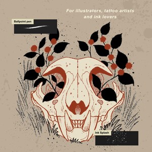 Tattoo-inspired digital linework showing detailed black ink strokes created with handmade Procreate inking brushes. A digital illustration of a cream-colored animal skull centered with black leaves and red berries. Text reads: For illustrators, tattoo artists and ink lovers, Ballpoint pen, and Ink Splash. The design features fine line work and stippling.