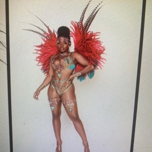 Puede incluir: Una mujer con un traje de color turquesa y dorado con plumas rojas. Lleva un sujetador de color turquesa y dorado y una parte de abajo a juego con un cinturón dorado. El traje está decorado con pedrería y plumas.