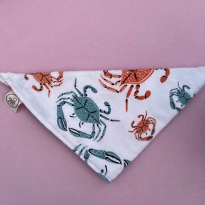 beach crabs bandana