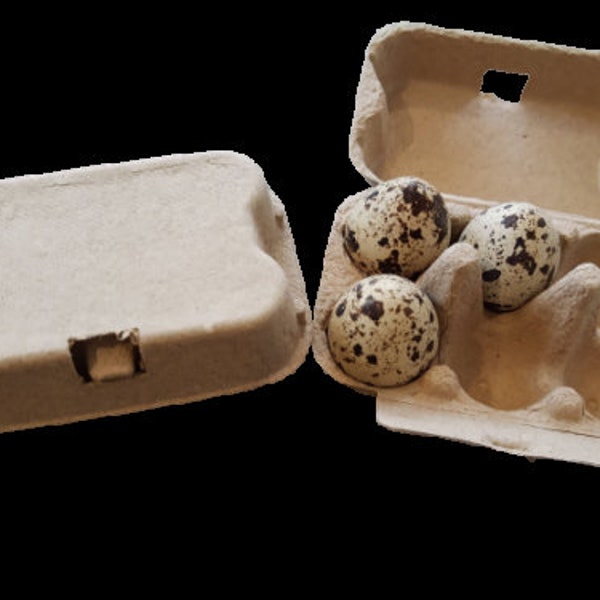 Quail Egg Boxes, environmentally friendly egg box, pulp, cardboard carton, 6 hole cartons for 6 quail eggs UK Seller