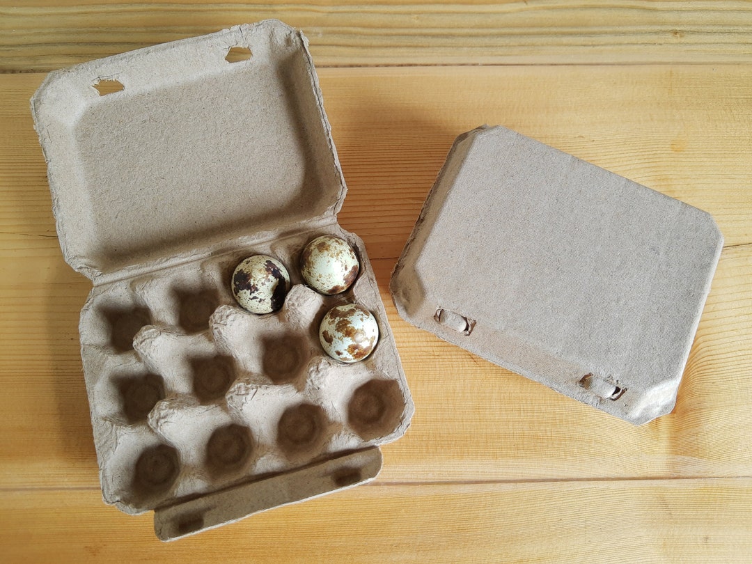 Quail Egg Boxes Environmentally Friendly Pulp Egg Box Etsy