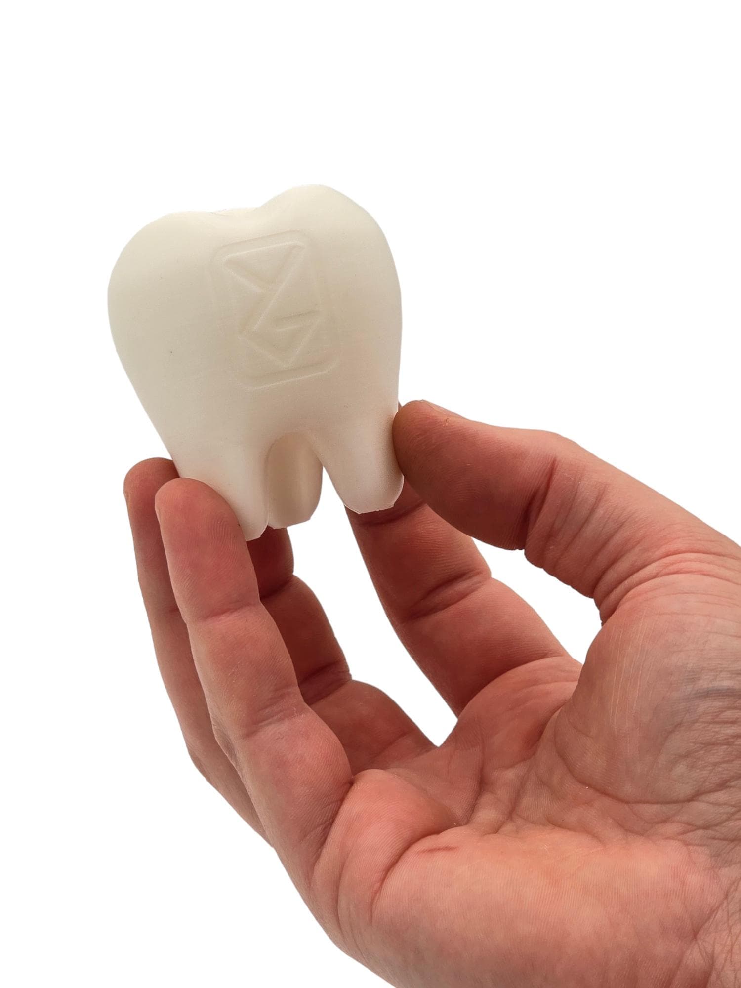 すり鉢状の乳臼歯/巨大臼歯：3Dプリントされたミニ歯の置物 - Etsy 日本