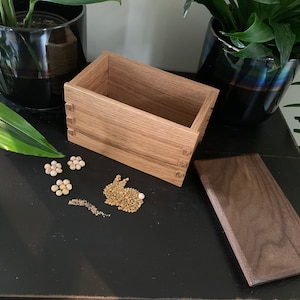 Scatola di semi di quercia e noce, coda di rondine, semi, scatola dei ricordi
