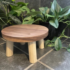 Solid Walnut and Maple Stool. Four Leg Step Stool. Kids Stool. Plant Stand,