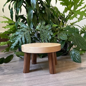 Solid Maple and Walnut Plant Stool. Medium - Large Sizes Available.  Select Your Choice of Size, 3 or 4 Leg Designs