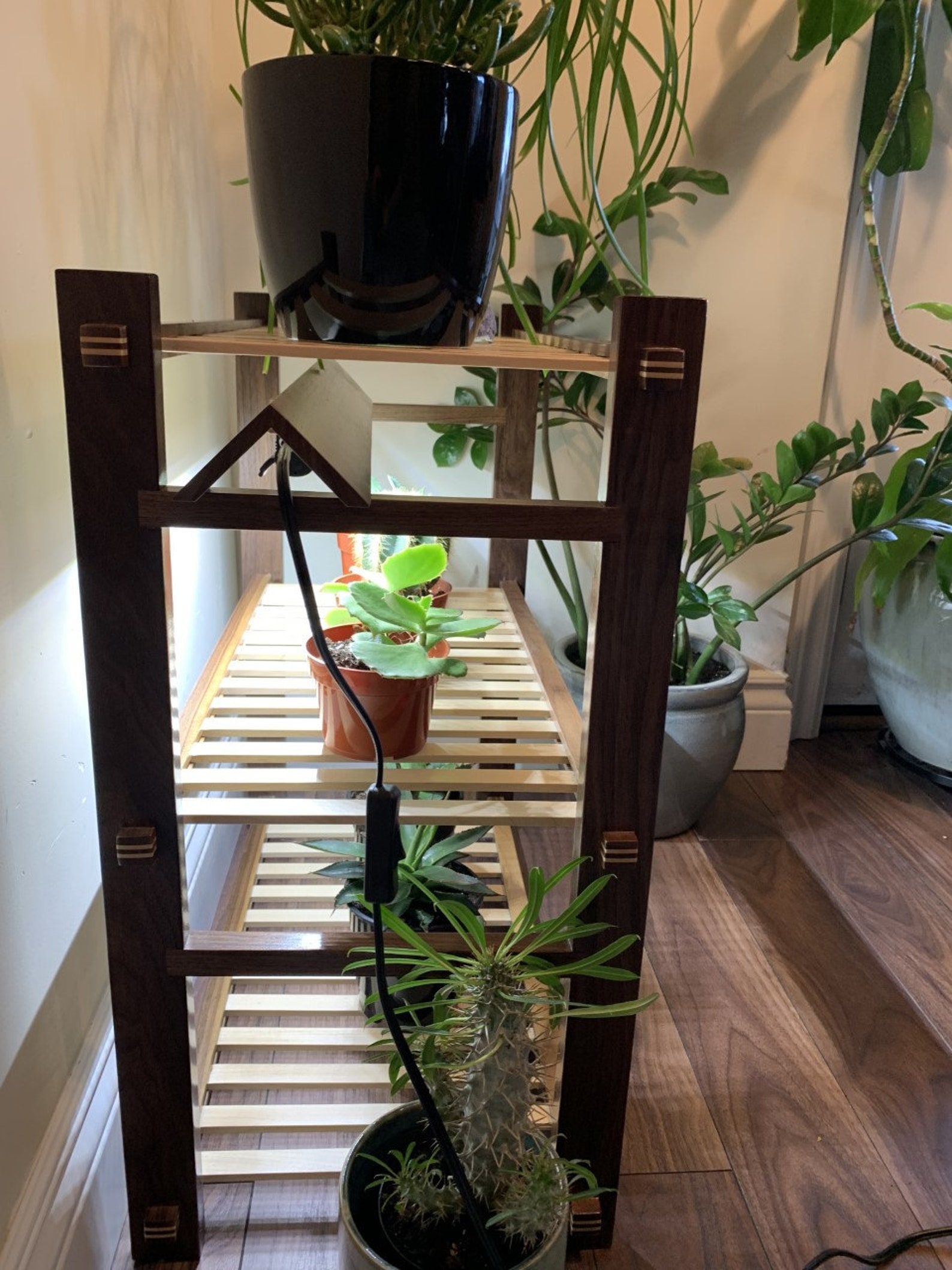 Walnut Plant Shelf W Full Spectrum LED Grow Light. Plant Etsy
