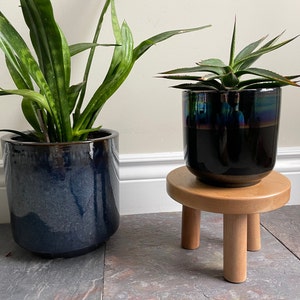 Handmade Cherry Plant Stool.  Air Plant Stand.