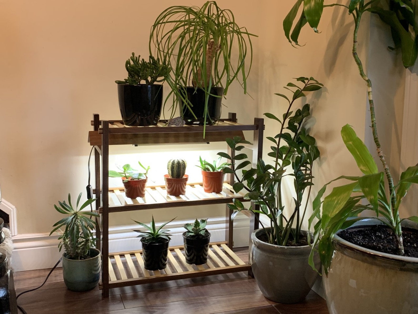 Walnut Plant Shelf W Full Spectrum LED Grow Light. Plant Etsy