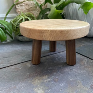 Maple and Walnut Stool.  Plant Stand.  Plant Stool.  Decorative Home Decor Display.