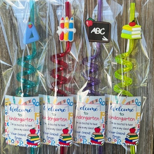 Back to school gifts , Classroom favors , Back to school student gift , Student Gift , Reusable straw, personalized kids gifts image 1