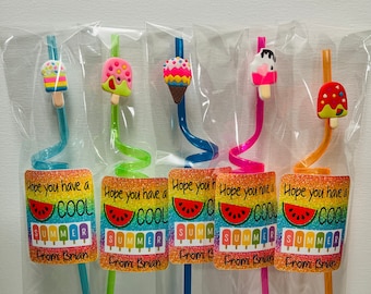 Summer Gift, End of School Gift Classroom Favors End of The Year Gift,  Student Gift Class Favors Reusable Kids Straw, Summer