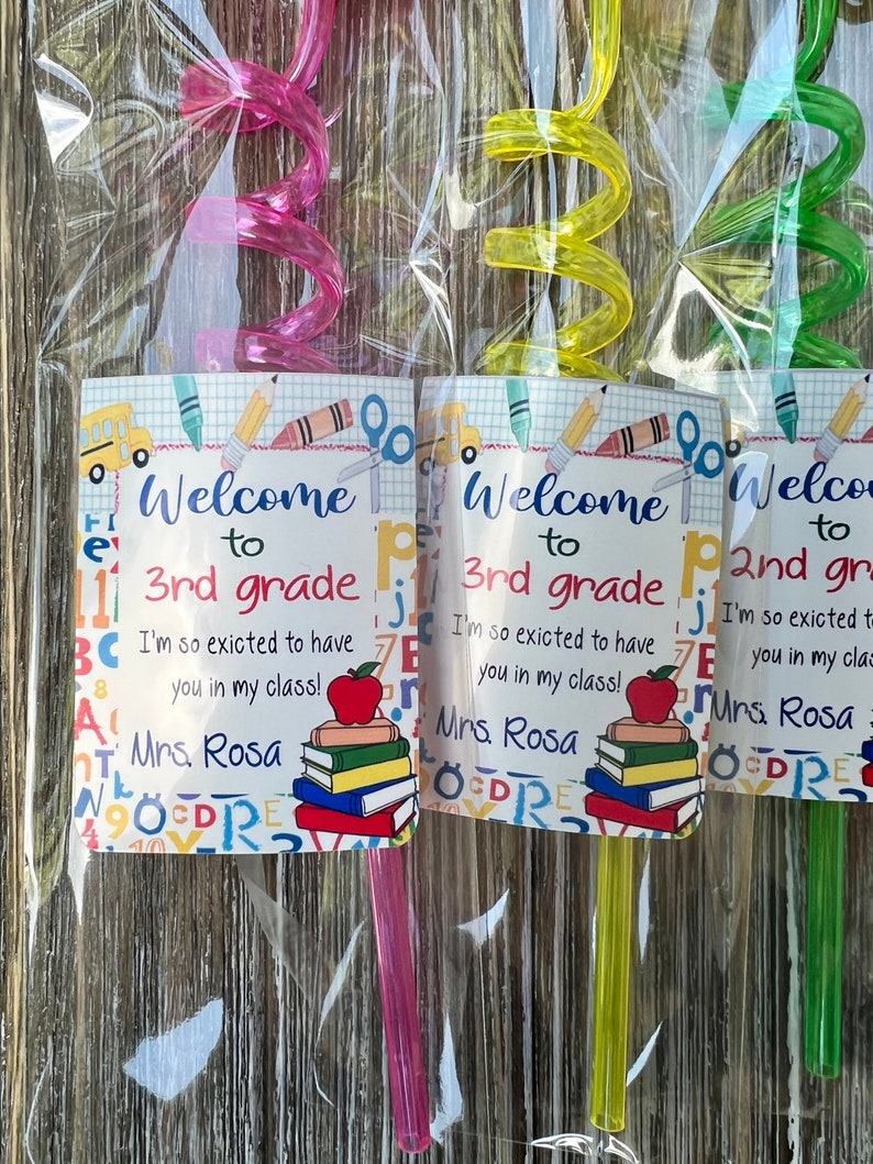 Back to school gifts , Classroom favors , Back to school student gift , Student Gift , Reusable straw, personalized kids gifts image 8