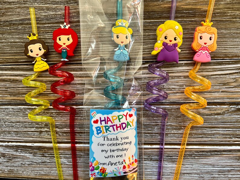 Princess Kids Birthday Party Favors Girls Party Favors Etsy