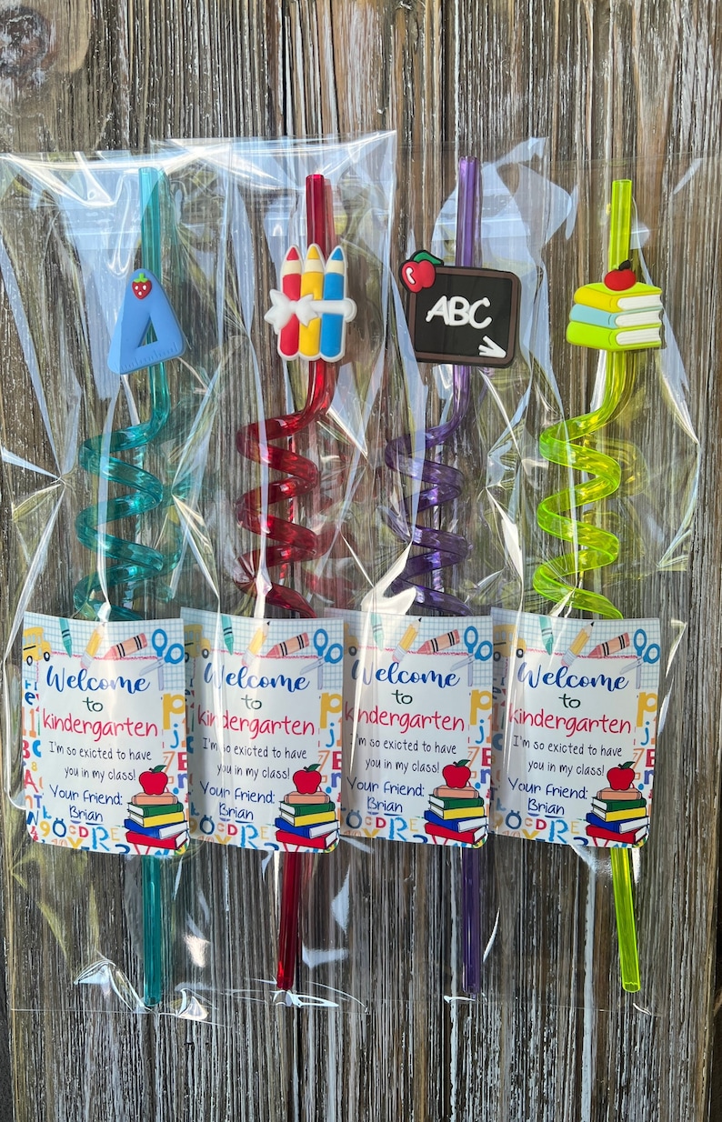 Back to school gifts , Classroom favors , Back to school student gift , Student Gift , Reusable straw, personalized kids gifts image 1
