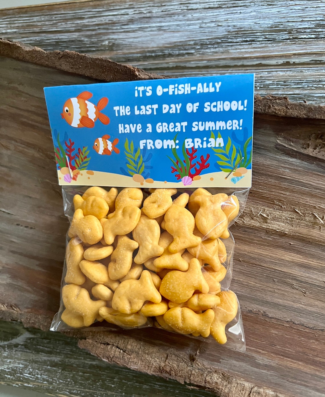 Summer Gift, Goldfish Treat Bag, End of School Gift, Classroom Favors ...
