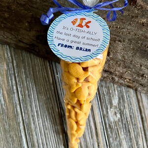 Summer Funny Gift, End of School Gift, Graduation Gift, Treat Bag, Kids ...
