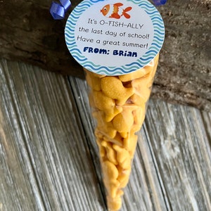 Summer Funny Gift, End of School Gift, Graduation Gift, Treat Bag, Kids ...
