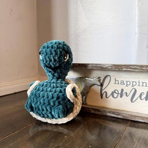 Cheeky Turtle