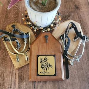 Spur Display