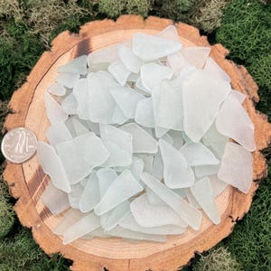 May include: A collection of light green sea glass pieces in various shapes and sizes, displayed on a wooden slice. The sea glass is smooth and translucent, with a slightly frosted appearance.