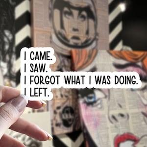I Came I Saw I Forgot What I Was Doing I Left Sticker, Funny Sticker, Water Bottle Stickers, Feminine Stickers, Sarcastic Sticker