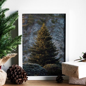 Art mural en toile d’arbre de Noël sauvage, art de carte de Noël, art mural pour enfants, art de vacances, impression d’art saisonnière d’hiver
