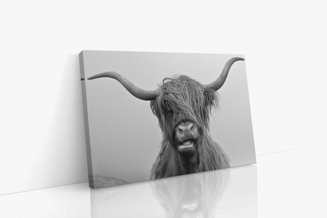 Highland Cow Canvas Wall Art Modern Wall Art Kids Art Etsy