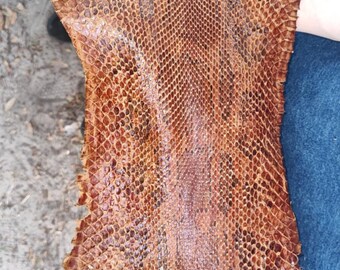 Early to Mid-Century Snake Skin
