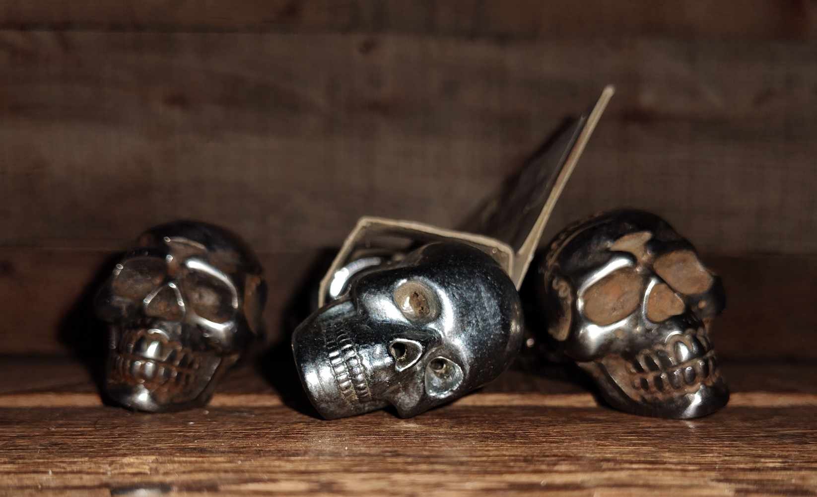 Harley-Davidson Skull Pegs and Grips