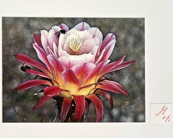 Trichocereus Flower and Bees Signed Print by H. Riga 2001 Numbered 115 Art Decor