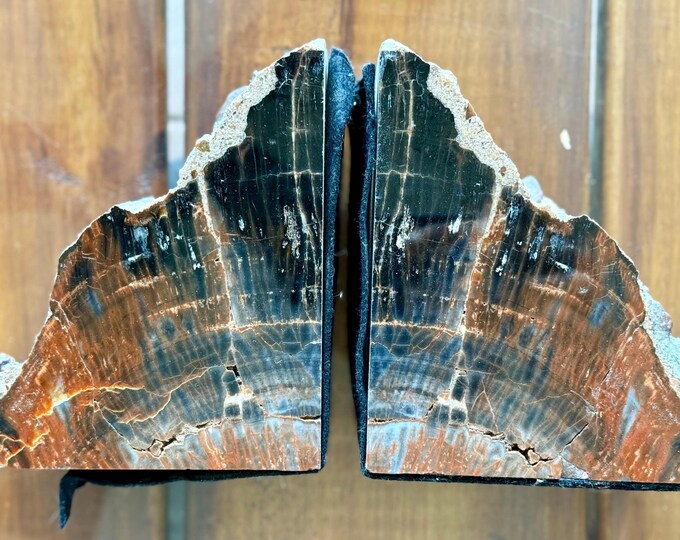 These vintage bookmatched cut one side polished reddish black petrified wood bookends are a unique and stylish addition to any home library.