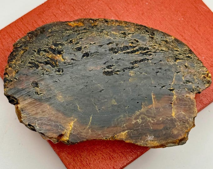 Black rare Natural petrified wood Amber slab fine mineral specimen