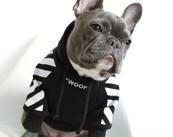 dog clothes designer