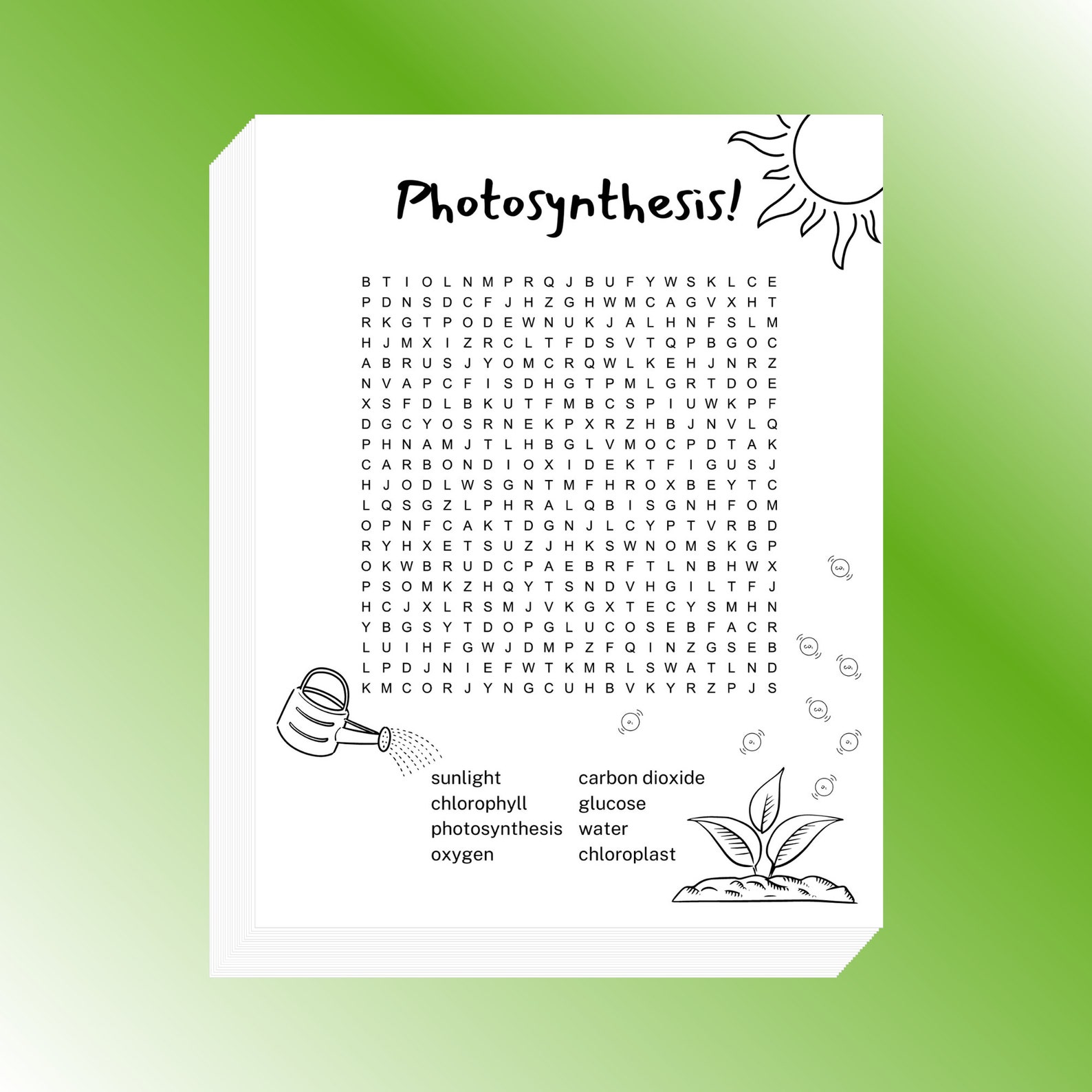 Photosynthesis Word Search Printable 8.5x11 Inch - Etsy