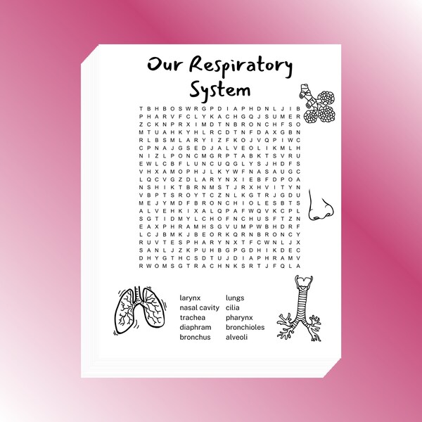 Respiratory System Printable - Etsy