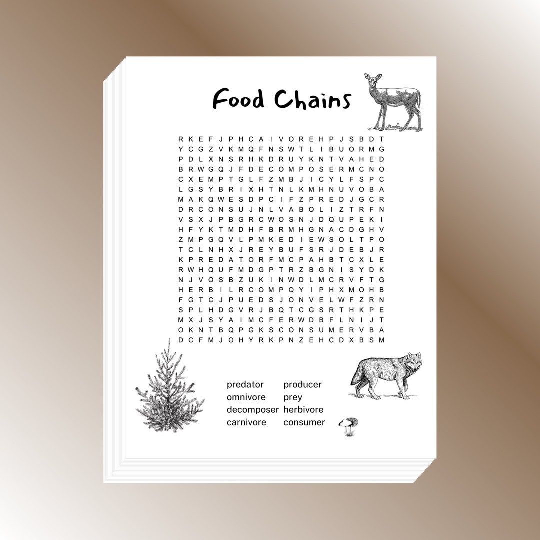 Food Chains Word Search Printable 8.5x11 Inch - Etsy