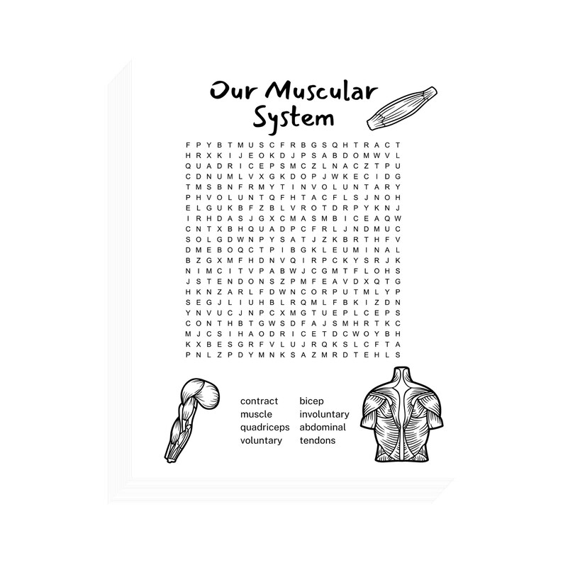 Body Systems Word Search Bundle Printable Value Pack of 5 - Etsy