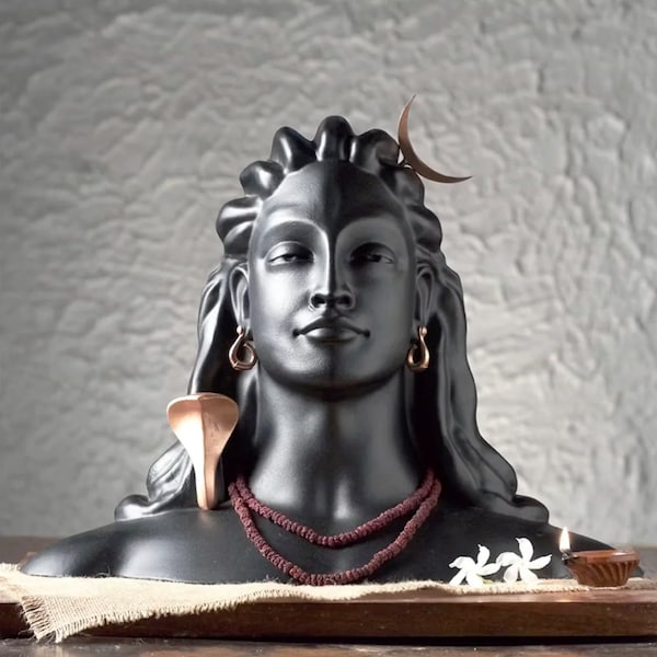 Statue Adiyogi Isha. Source du yoga.