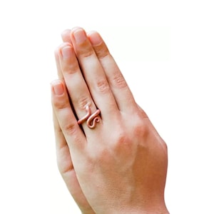 Consecrated Isha Copper Snake Ring. image 1