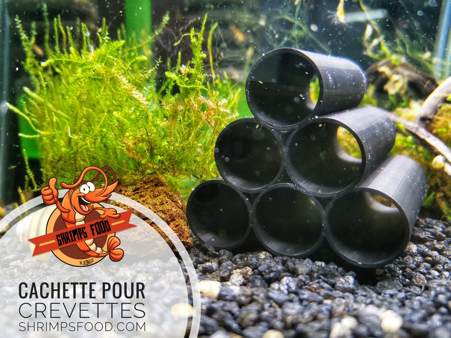 Support boutures plantes – Shrimpsfood