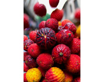 Bayberries Vertical  12" x 18"  Poster - Matte