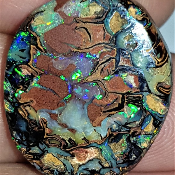 17.3ct Koroit Nut with gemmy crystal opal