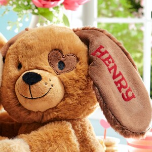 May include: Brown plush dog toy with a heart-shaped patch over one eye. The dog's ear is brown and has the name "HENRY" embroidered in red.