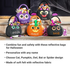 May include: A collection of Halloween-themed treat bags in various shapes: an owl, a bat, a cat, a pumpkin, and a spider. Each bag is black, orange, or purple, with embroidered names and festive details. The bags are filled with treats.