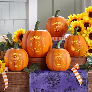 May include: Five orange pumpkins with different Peanuts characters and names on them. The names are Abigail, Brandon, Hayden, Noah, and Wyatt.