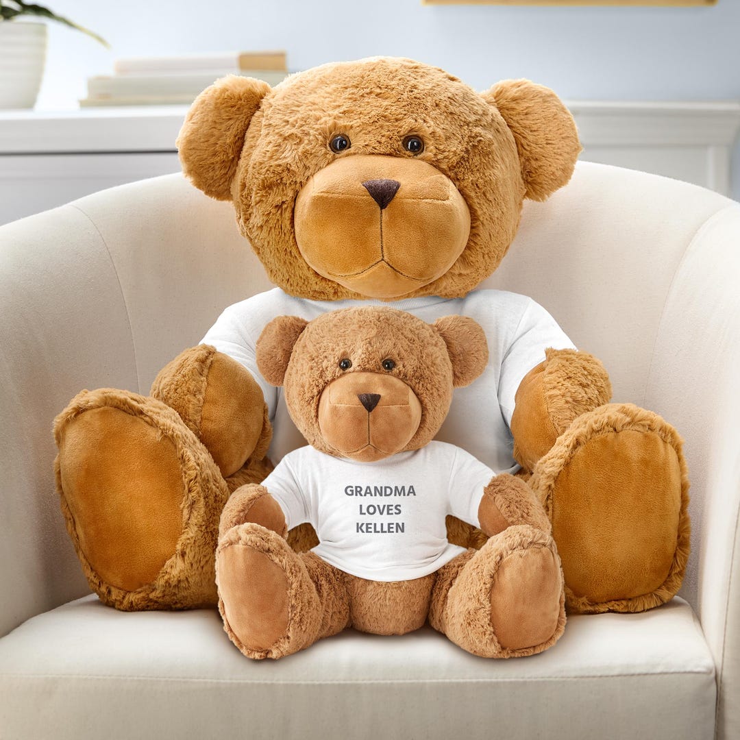 Personalized Teddy Bear - Plush Stuffed Animal With a Custom Message T ...