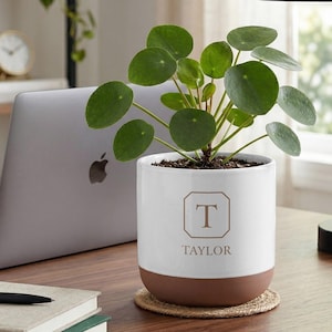 May include: A white and brown ceramic planter with a green plant. The planter has a brown base and a white upper section with the letter "T" and the name "TAYLOR" in a brown font. The plant has round, green leaves.