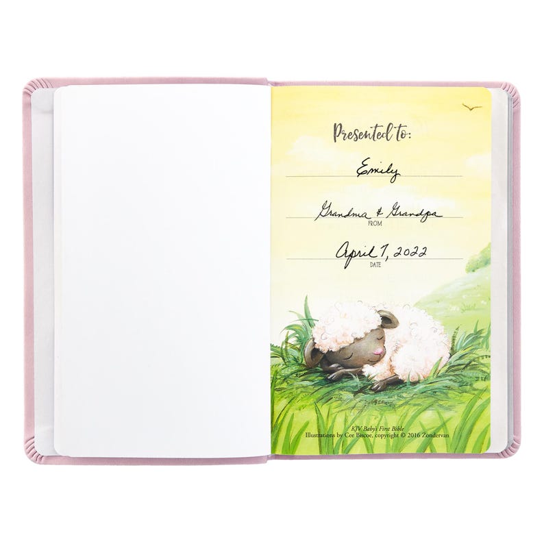 Personalized Create Your Own Children's Bible - Religious Gift - KJV Bible - Keepsake For Baby - Children's Bible - Choose Pink or Blue image 9