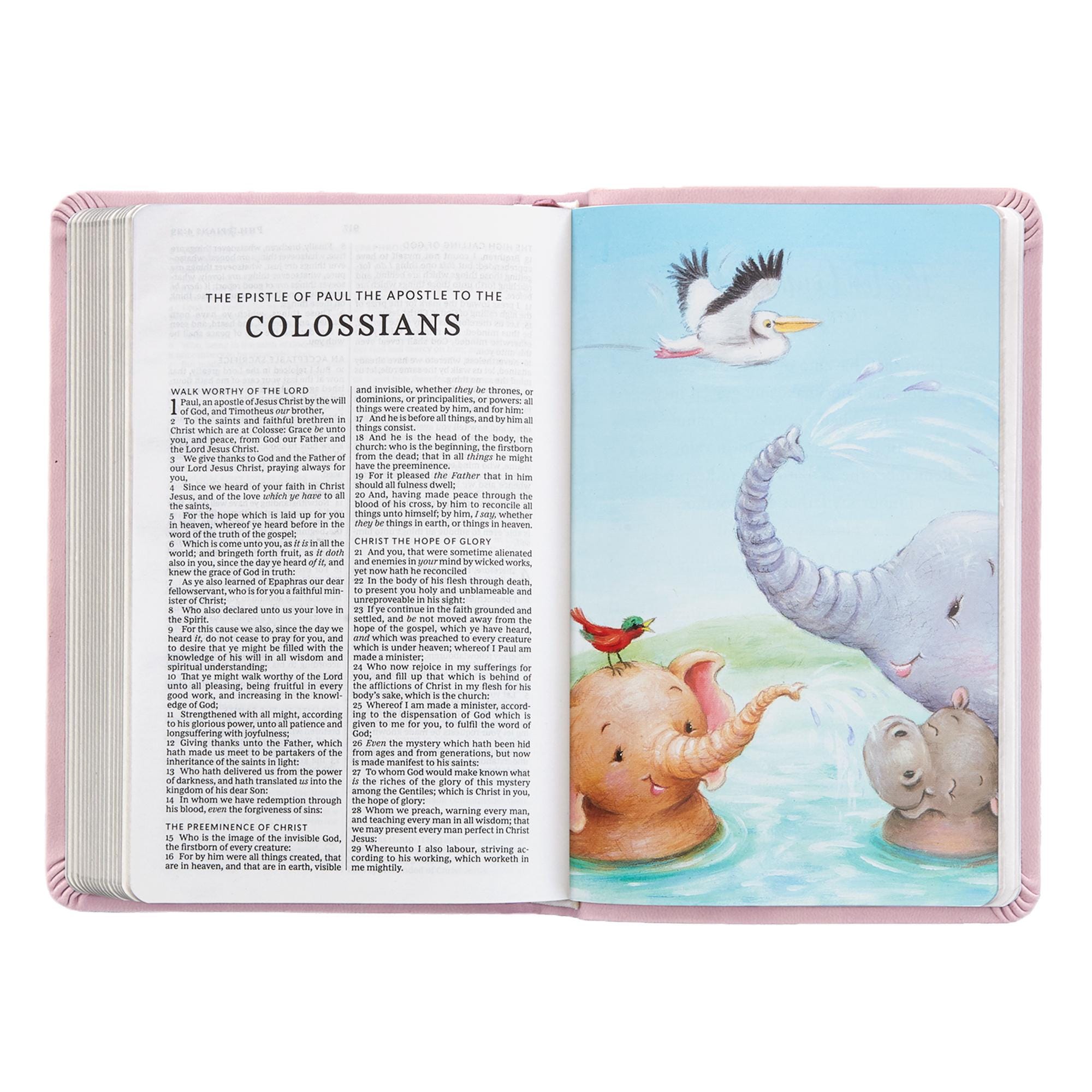 Personalized Baptism Bible – Religious Gift for Faith Milestone – KJV Bible - Keepsake For Baby - Children's Bible - Choose Pink Or Blue